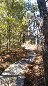 The start of the Gertrude's Nose trail in Minnewaska State Park Preserve